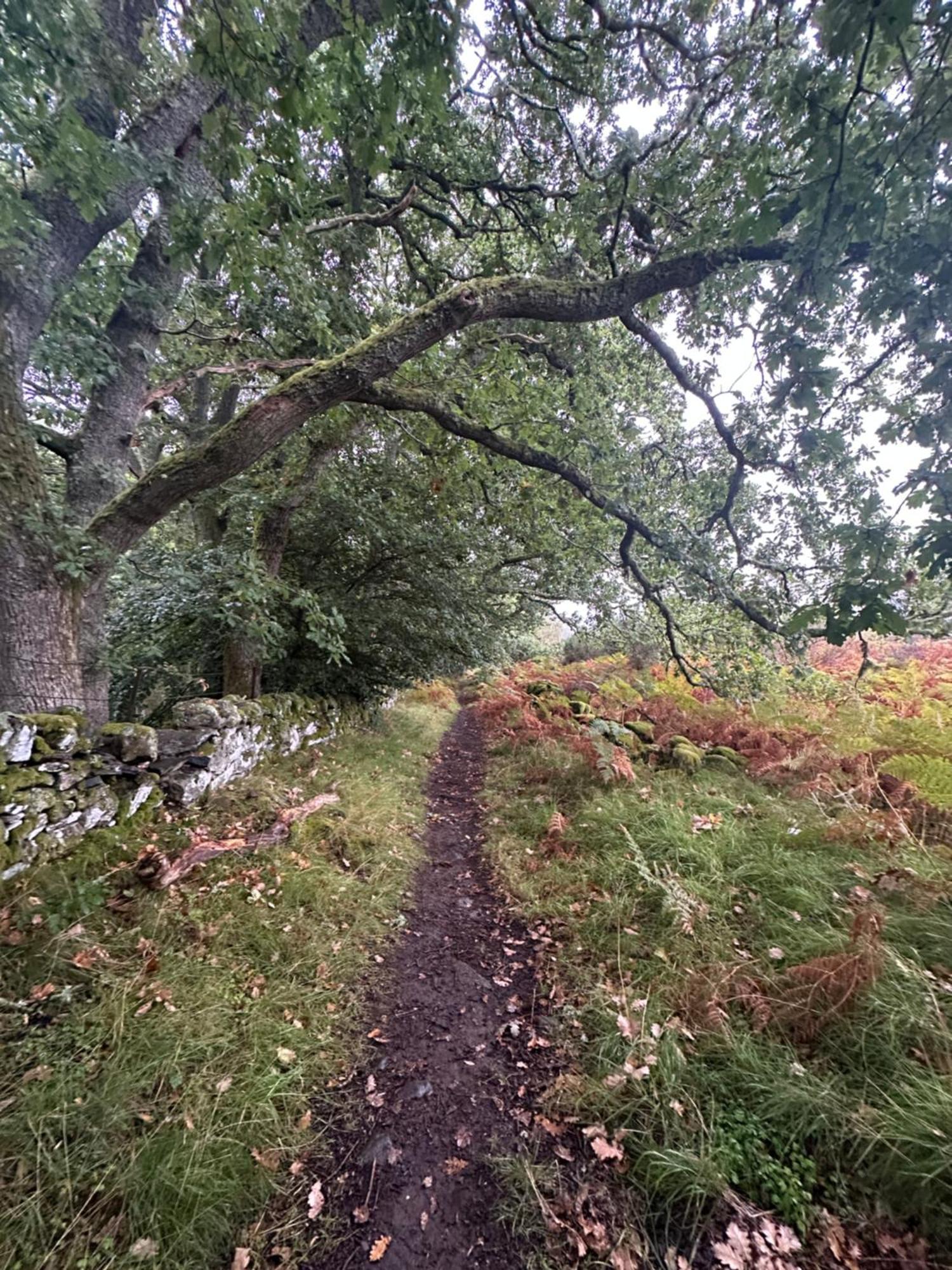 Red Squirrel Cottage Strathtay Esterno foto